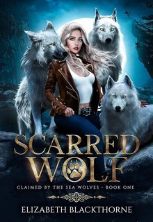 Elizabeth Blackthorne - Rivendicata dai Lupi del Mare Vol. 1. Scarred Wolf (2025)