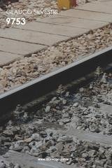 Glauco Silvestri - 9753 (2008)