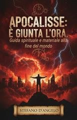 Stefano D'Angelo - Apocalisse: è giunta l'ora. Guida spirituale e materiale alla fine del mondo (2025)