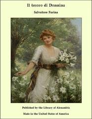 Salvatore Farina - Il tesoro di Donnina (2025)