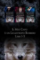 Elizabeth Rose - Neve e Cenere: Una sposa per Natale (2025)